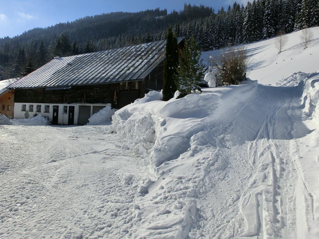 Hinteregghof Villa Forstau  Buitenkant foto