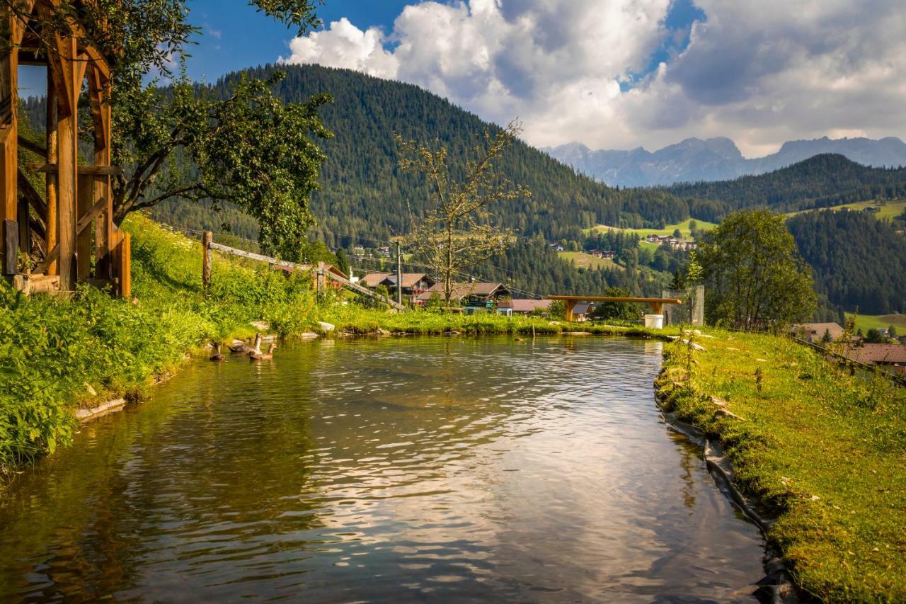 Hinteregghof Villa Forstau  Buitenkant foto